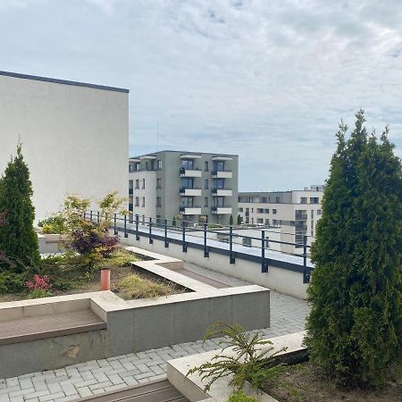 Astoria Apartment - Pet Friendly Μπρασόβ Εξωτερικό φωτογραφία